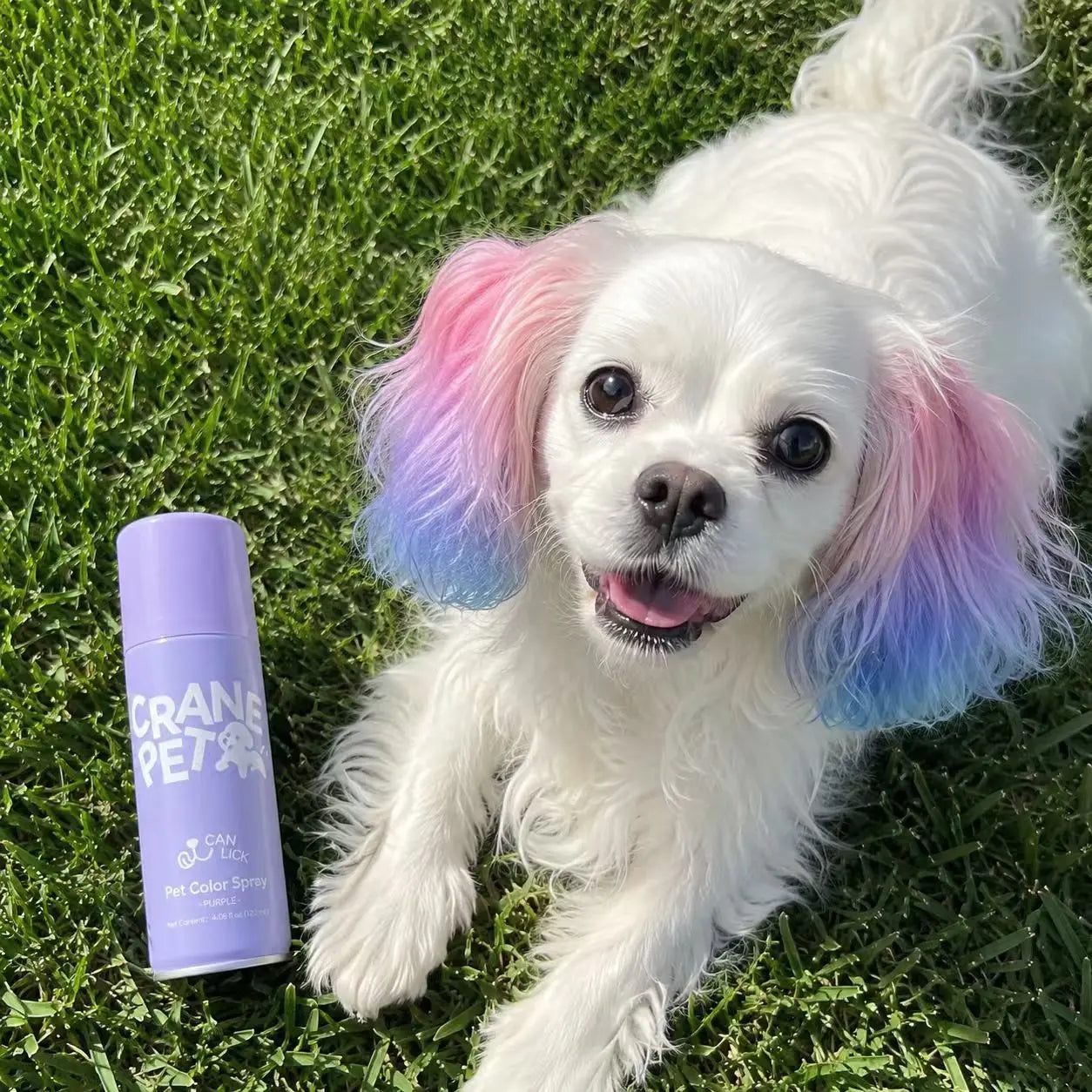 Crane Lunexis Pet Hair Color Spray Can - Dog & Cat Grooming Coating Agent, Safe, Non-Toxic, Easy Spray-On Application, Washable via Shampoo, Ideal for Festivals, Halloween, Shampoo Wash-Off