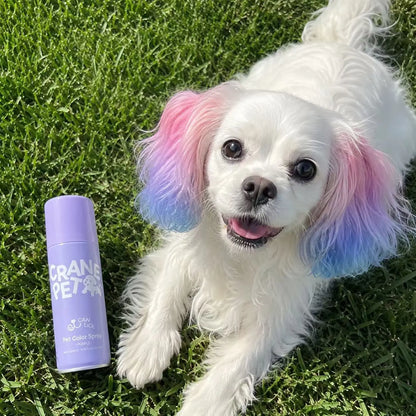 Crane Lunexis Pet Hair Color Spray Can - Dog & Cat Grooming Coating Agent, Safe, Non-Toxic, Easy Spray-On Application, Washable via Shampoo, Ideal for Festivals, Halloween, Shampoo Wash-Off