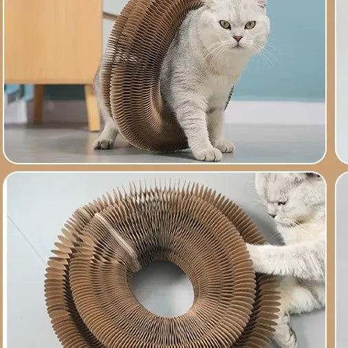 Furfitfun Bones-Shape Foldable Cat Scratcher Pad - Recyclable Corrugated Cardboard, Bell Balls Included, Play & Rest, Interactive Mental Physical Exercise Toy for All Ages Indoor Cats