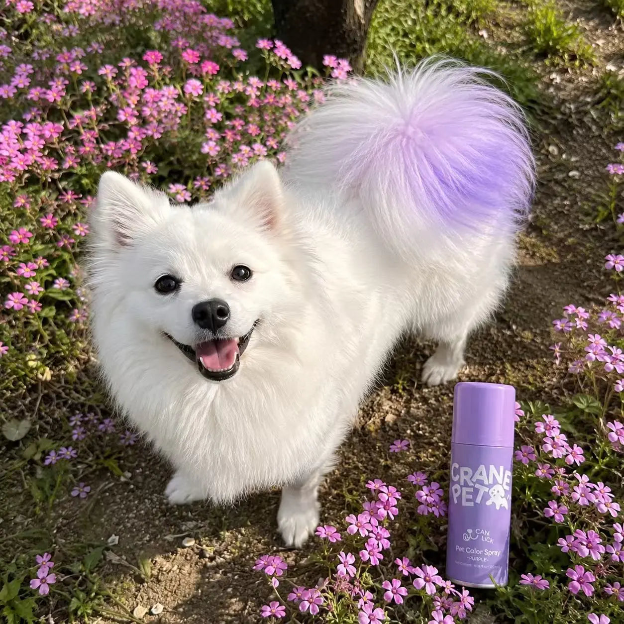 Crane Lunexis Pet Hair Color Spray Can - Dog & Cat Grooming Coating Agent, Safe, Non-Toxic, Easy Spray-On Application, Washable via Shampoo, Ideal for Festivals, Halloween, Shampoo Wash-Off