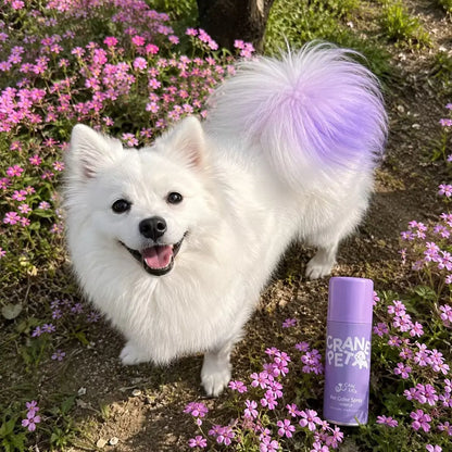 Crane Lunexis Pet Hair Color Spray Can - Dog & Cat Grooming Coating Agent, Safe, Non-Toxic, Easy Spray-On Application, Washable via Shampoo, Ideal for Festivals, Halloween, Shampoo Wash-Off