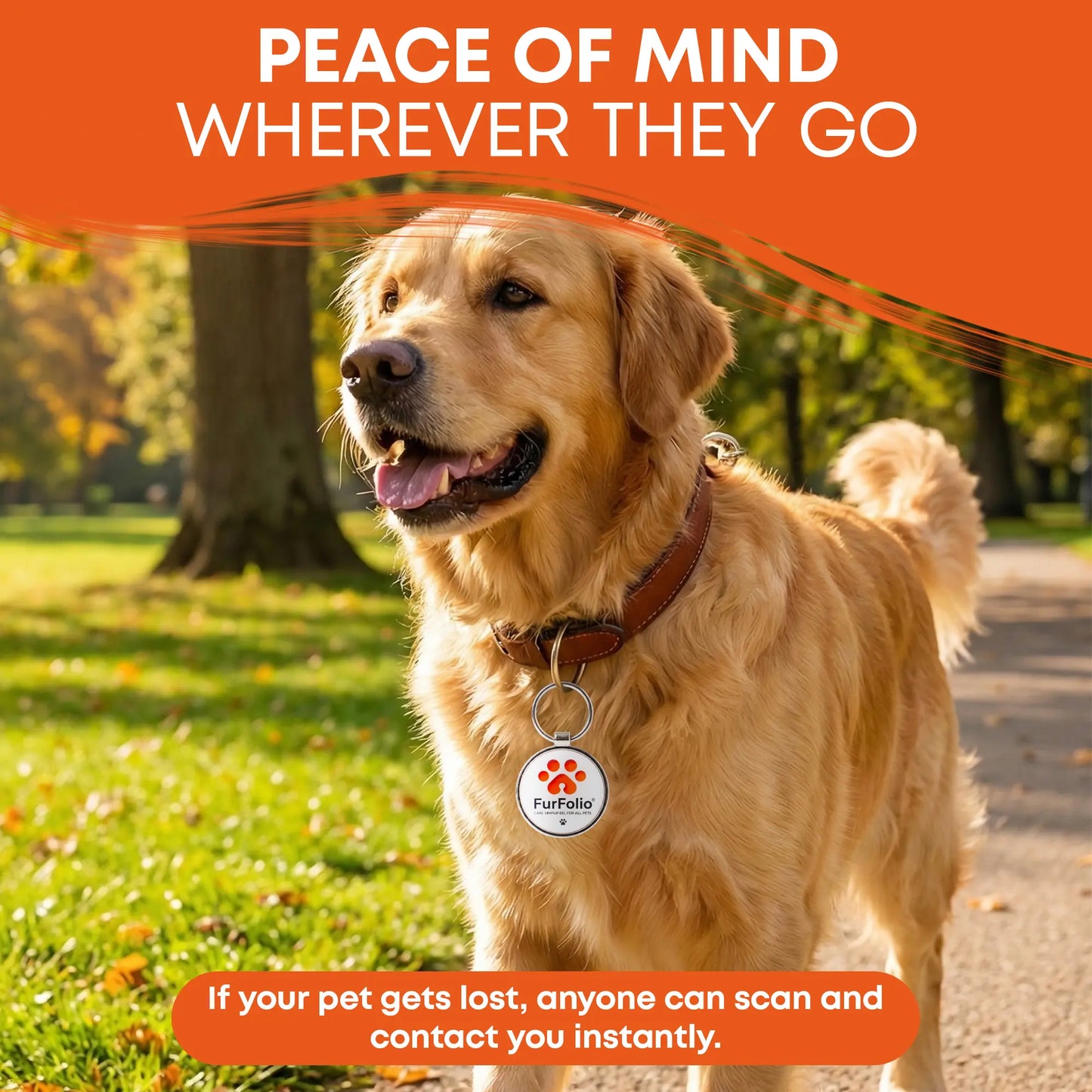 QR Code Pet ID Tag – Smart Dog & Cat Tag – Scan to Contact Owner – Lost Pet Protection – No Subscription